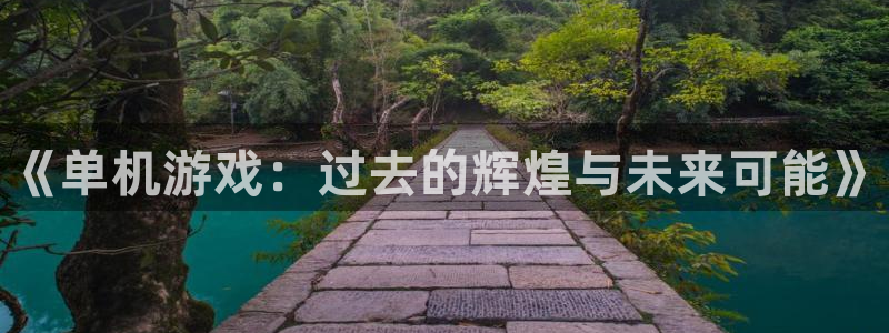 天美娱乐平台：《单机游戏：过去的辉煌与未来可能》