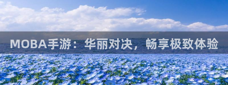 天美娱乐网页版地址：MOBA手游：华丽对决，畅享极致体验
