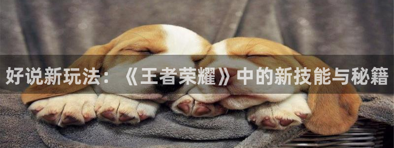 天美娱乐测速：好说新玩法：《王者荣耀》中的新技能与秘籍