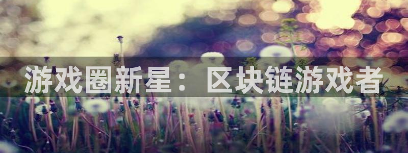 天美娱乐app下载|下载地址：游戏圈新星：区块链游戏者