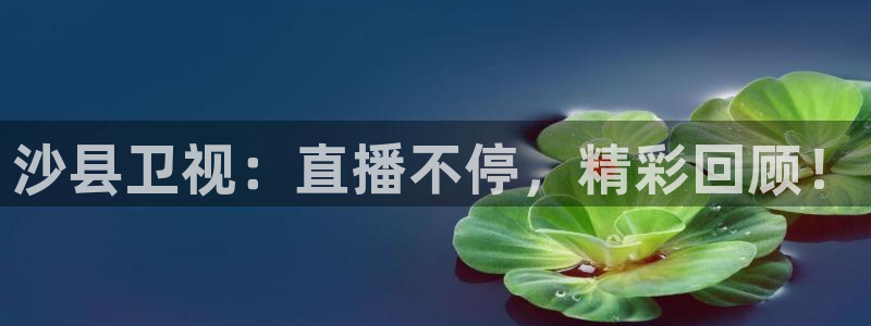 搜球直播：沙县卫视：直播不停，精彩回顾！